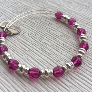 Pink & silver Swarovski crystal ALEX AND ANI